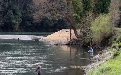 Pesca en el Río Casaño