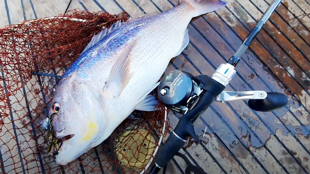 Todo lo que debe saber sobre el Slow Jigging