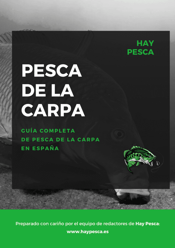 Guía de Pesca de la Carpa en España