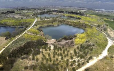 Pesca en las lagunas del aceite en Arganda del Rey