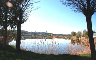 Pesca en la Laguna el Raso