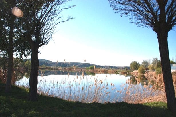 Pesca en la Laguna el Raso