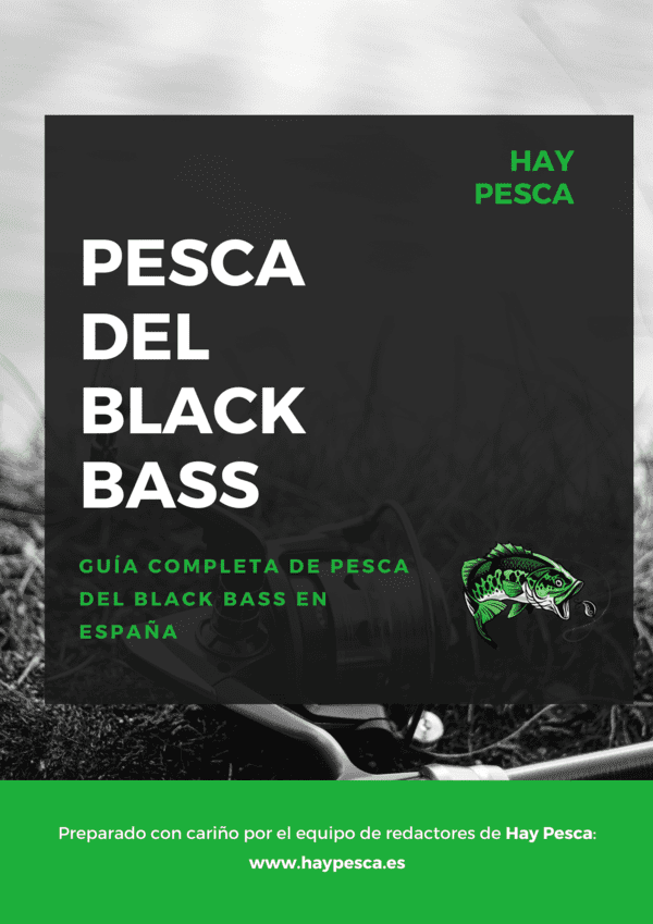 Guía para la Pesca del Black Bass en España