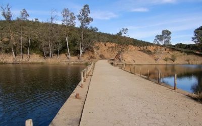 Pesca en el Embalse de Aznalcóllar – Agrio