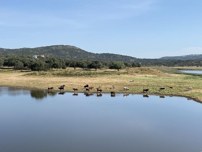 Pesca en el Embalse de Cala
