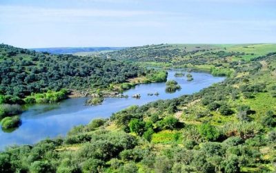 Pesca en el Río Guadiana Grande