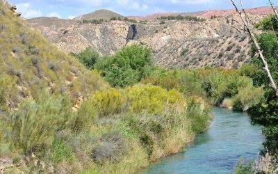 Pesca en el Río Guadiana Menor