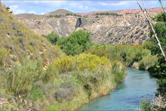 Pesca en el Río Guadiana Menor