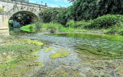 Pesca en el Río Guadalbullón