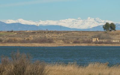 Pesca en el Embalse de Sariñena