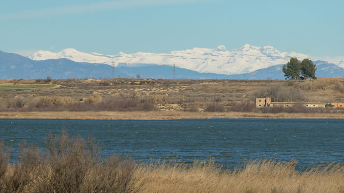 Pesca en el Embalse de Sariñena