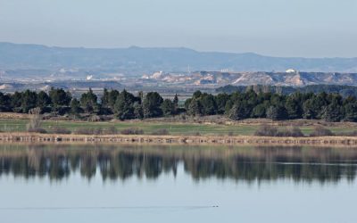 Pesca en el Embalse de Sigena