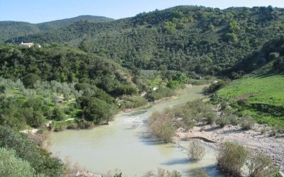 Pesca en el Río Guadalete