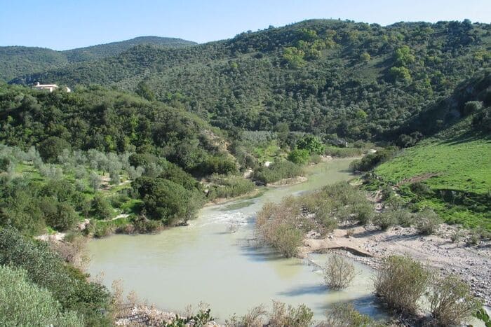 Pesca en el Río Guadalete en Cádiz