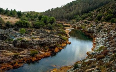 Pesca en el Río Odiel