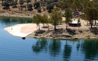¿Cuál es la Zona libre de Pesca en el Embalse de Orellana?