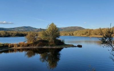 Pesca en el Embalse de El Atalaya