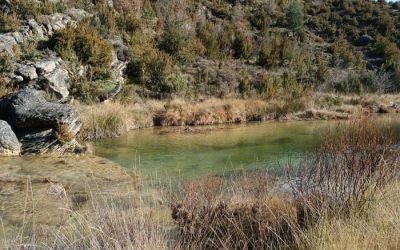 Pesca en el Embalse de Letosa