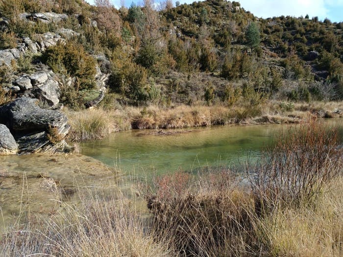 Pesca en el Embalse de Letosa