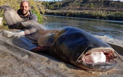 Pesca en el Embalse de Piñana del Rey