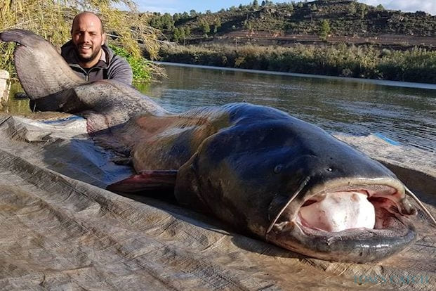 Pesca en el Embalse de Piñana del Rey