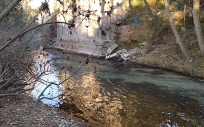 Pesca en el Río Elorz
