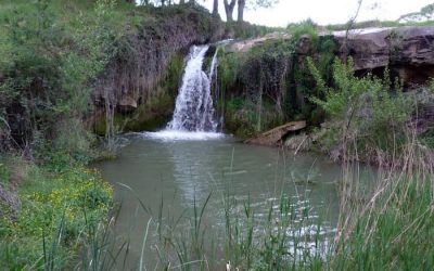 Pesca en el Río Estercuel