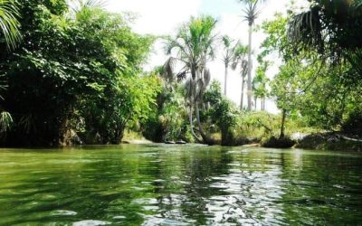 Pesca en el Río Formiga