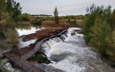 Pesca en el Río Guadalope