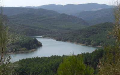 Pesca en el Río Huerva