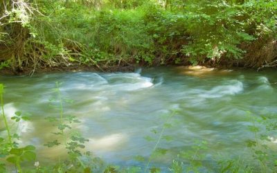 Pesca en el Río Jiloca