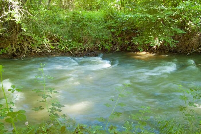 Pesca en el Río Jiloca