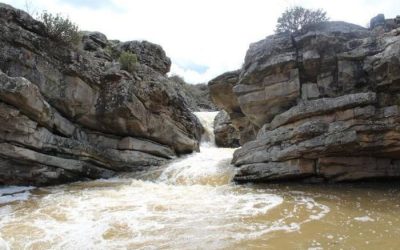 Pesca en el Río Jubera