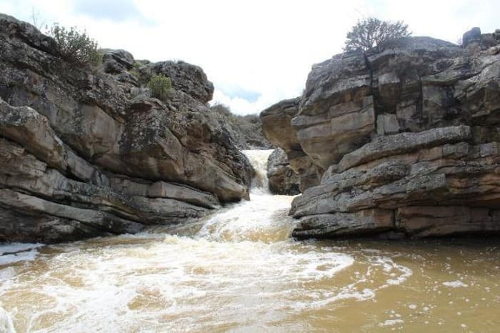 Pesca en el Río Jubera