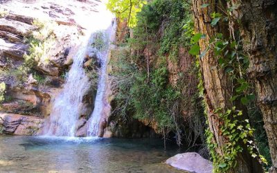 Pesca en el Ríodeva de Aragón