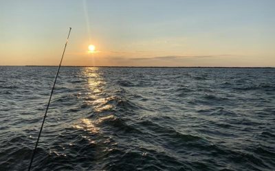 Equipamiento para una jornada de pesca exitosa