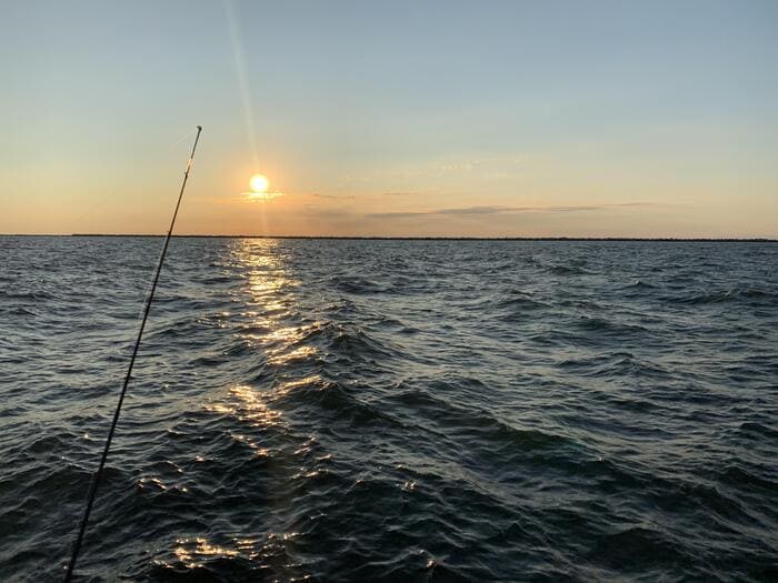 Equipamiento para una jornada de pesca exitosa