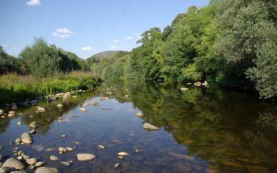 Pesca en el Río Lecha