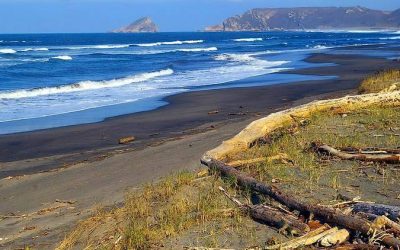 Pesca en la Playa de San Juan de la Arena