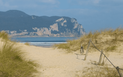 Pesca en la Playa de Laredo