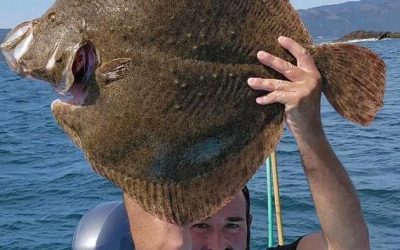 La Pesca del Rodaballo en España
