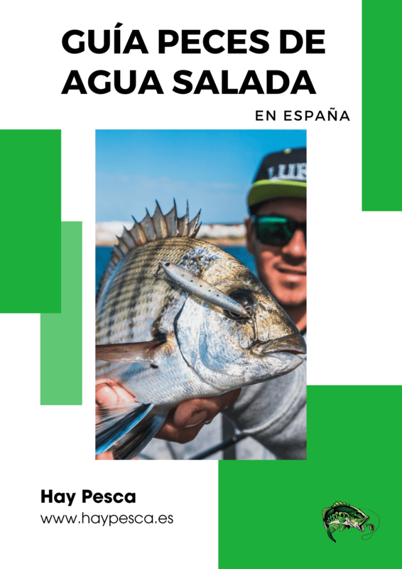 Guía de los peces de agua dulce en España