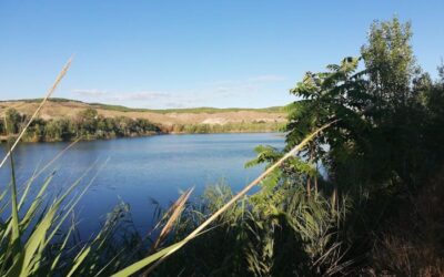 Pesca en las Lagunas de Velilla
