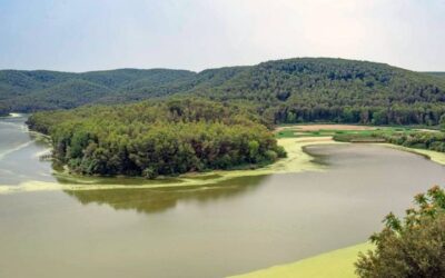 Pesca en el Pantano de Foix