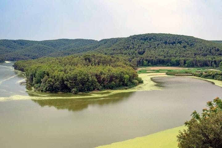 Pesca en el Pantano de Foix