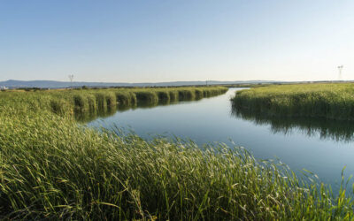 Pesca en el Embalse de Arrocampo-Almaraz