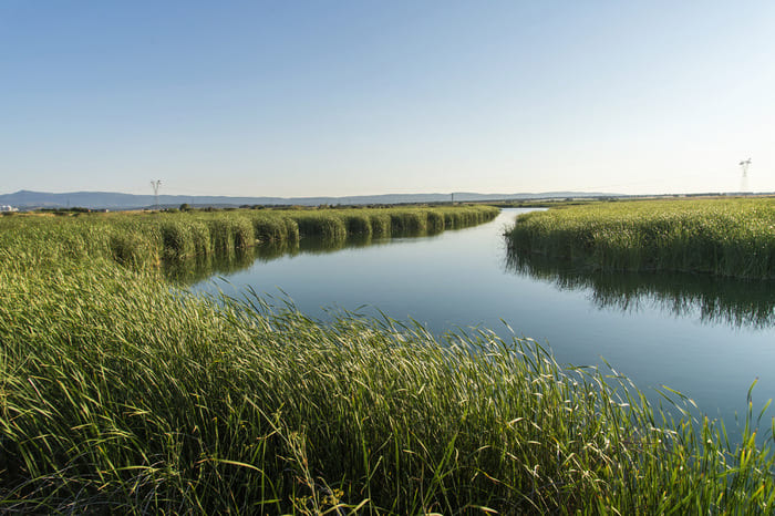 Pesca en el Embalse de Arrocampo-Almaraz
