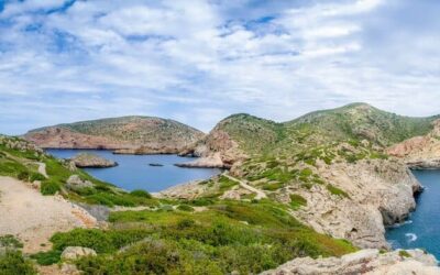 Pesca en el Embalse de Binidalí
