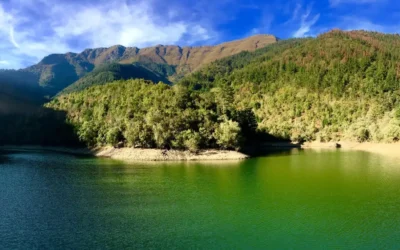 Pesca en el Embalse de Zollo