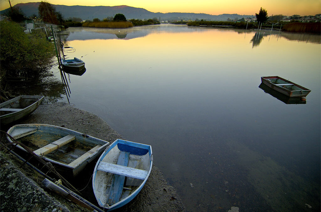 Pesca en el Río Bidasoa (País Vasco): Salmón y Trucha en la Frontera